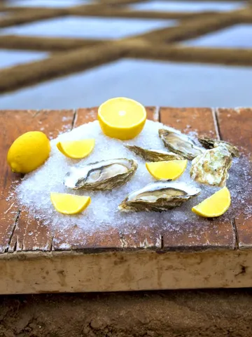 Ostras da Ria Formosa